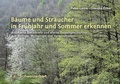 Cover: B&auml;ume und Str&auml;ucher in Fr&uuml;hjahr und Sommer erkennen - Schweizerbart'sche, E.