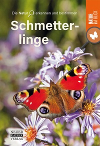 Abbildung von: Schmetterlinge - Neuer Kaiser
