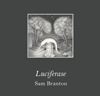 Enlarge image Cover: Luciferase - ArtCircus Books