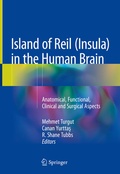 Abbildung von: Island of Reil (Insula) in the Human Brain - Springer