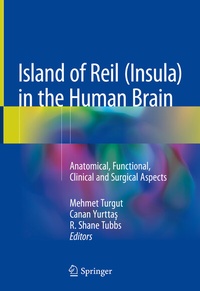 Abbildung von: Island of Reil (Insula) in the Human Brain - Springer