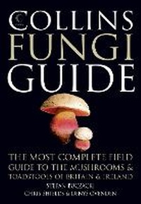 Enlarge image Cover: Collins Fungi Guide - Collins