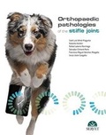 Bild: Orthopaedic pathologies of the Stifle Joint - Servet