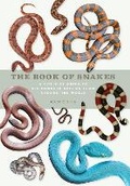 Cover: The Book of Snakes - Ivy Press