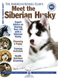 Cover: Meet the Siberian Husky - CompanionHouse Books