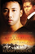 Cover: Intoxication - Totally Bound Publishing