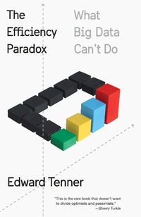 Abbildung von: The Efficiency Paradox - Vintage Books
