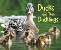 Cover: Ducks and Their Ducklings - Raintree