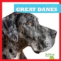 Cover: Great Danes - Bullfrog Books