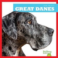 Enlarge image Cover: Great Danes - Bullfrog Books