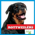 Cover: Rottweilers - Bullfrog Books