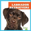 Cover: Labrador Retrievers - Bullfrog Books