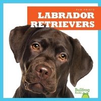Enlarge image Cover: Labrador Retrievers - Bullfrog Books