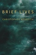 Cover: Brief Lives - Seren