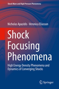Enlarge image Cover: Shock Focusing Phenomena - Springer