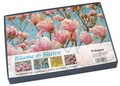 Cover: B&auml;ume und Bl&uuml;ten - Pr&auml;senz Medien & Verlag