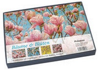 Abbildung von: Bäume und Blüten - Präsenz Medien & Verlag