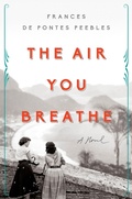 Cover: The Air You Breathe - Riverhead Books