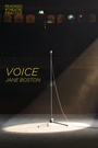 Cover: Voice - Methuen Drama