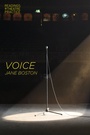 Cover: Voice - Methuen Drama