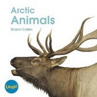 Enlarge image Cover: Arctic Animals - Capstone Classroom