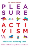 Cover: Pleasure Activism - AK Press