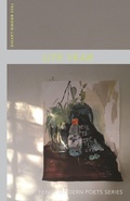 Cover: Lite Year - Fence Books