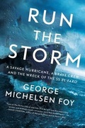Cover: Run the Storm - Scribner