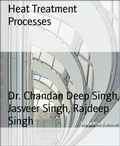 Cover: Heat Treatment Processes - BookRix