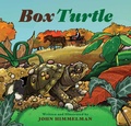 Cover: Box Turtle - Muddy Boots