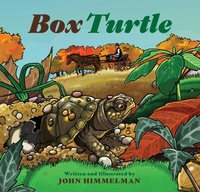 Enlarge image Cover: Box Turtle - Muddy Boots