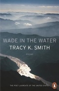 Cover: Wade in the Water - Penguin Books Ltd