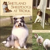 Abbildung von: Shetland Sheepdogs at Work: Achievements, Breeding, Training - Alpine Publications,U.S.
