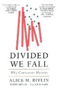 Cover: Divided We Fall - Brookings Institution
