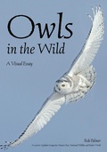 Cover: Owls in the Wild - Amherst Media