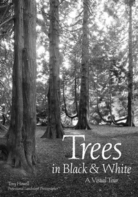 Abbildung von: Trees in Black & White - Amherst Media