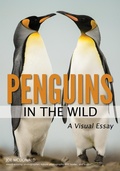 Cover: Penguins in the Wild - Amherst Media