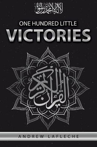 Abbildung von: One Hundred Little Victories - Pub House Books