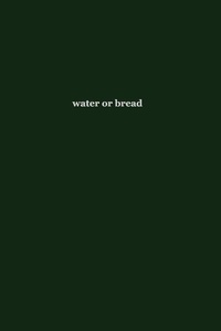 Enlarge image Cover: water or bread - Human Error Publishing