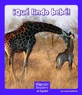 Cover: !Que Lindo Bebe! - Capstone Press
