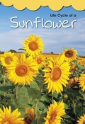 Cover: Life Cycle of a Sunflower - Capstone Classroom