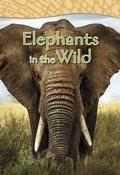 Cover: Elephants in the Wild - Capstone Classroom