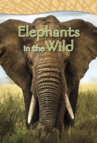 Enlarge image Cover: Elephants in the Wild - Capstone Classroom