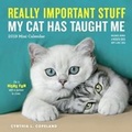 Cover: 2019 Really Important Stuff My Cat Has Taught Me Mini Wall Calendar - Workman Publishing