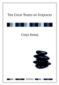Cover: Cold Panes of Surfaces - Nightwood Editions