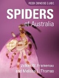 Cover: REED CONCISE GUIDE SPIDERS OF AUSTRALIA - Reed New Holland