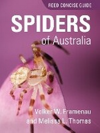 Enlarge image Cover: REED CONCISE GUIDE SPIDERS OF AUSTRALIA - Reed New Holland