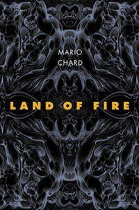 Enlarge image Cover: Land of Fire - Tupelo Press, Incorporated