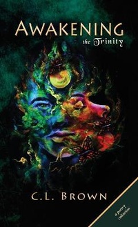 Enlarge image Cover: Awakening the Trinity - Ibhubesi Books