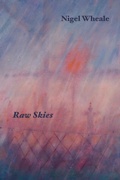 Cover: Raw Skies - Shearsman Books